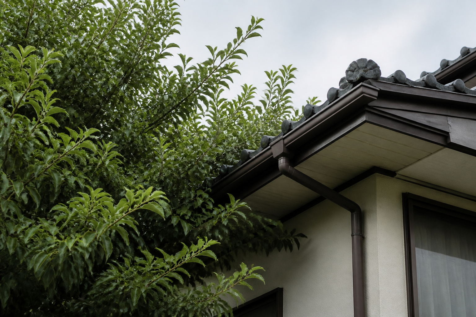 屋根や雨どいへ近づいた庭木の枝