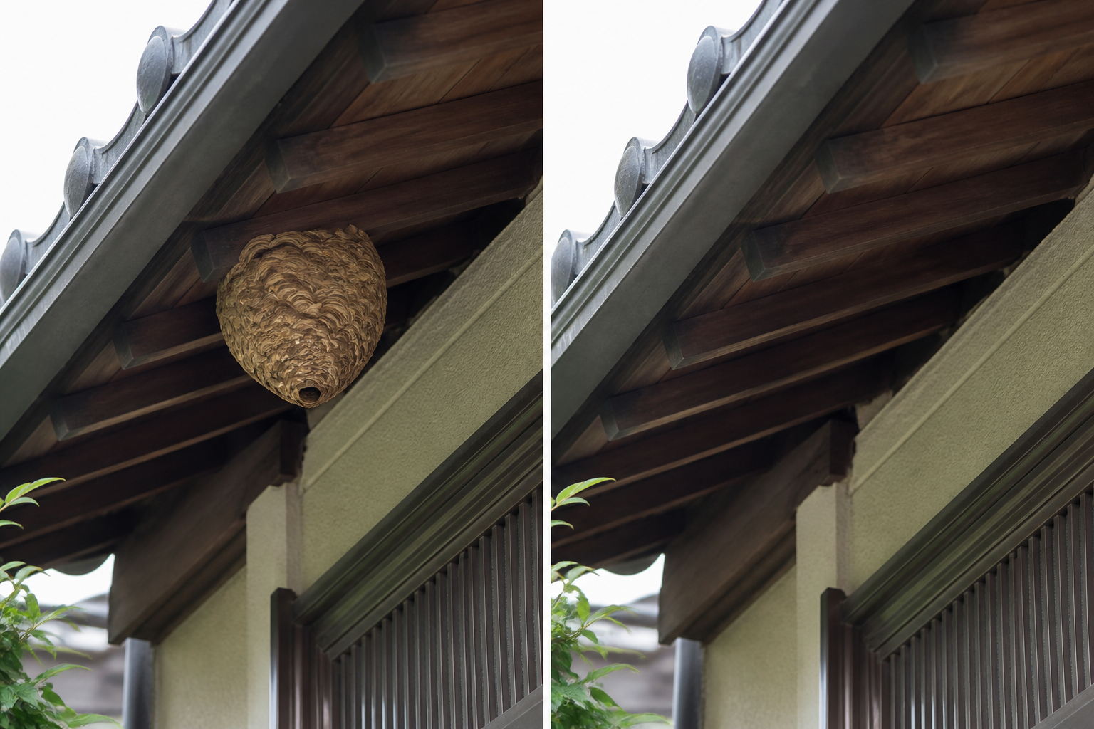 蜂の巣を駆除する前と駆除した後の軒下